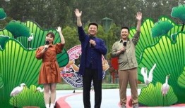 安崎娱乐爆料最新消息视频,揭秘神秘视频背后的惊人真相！